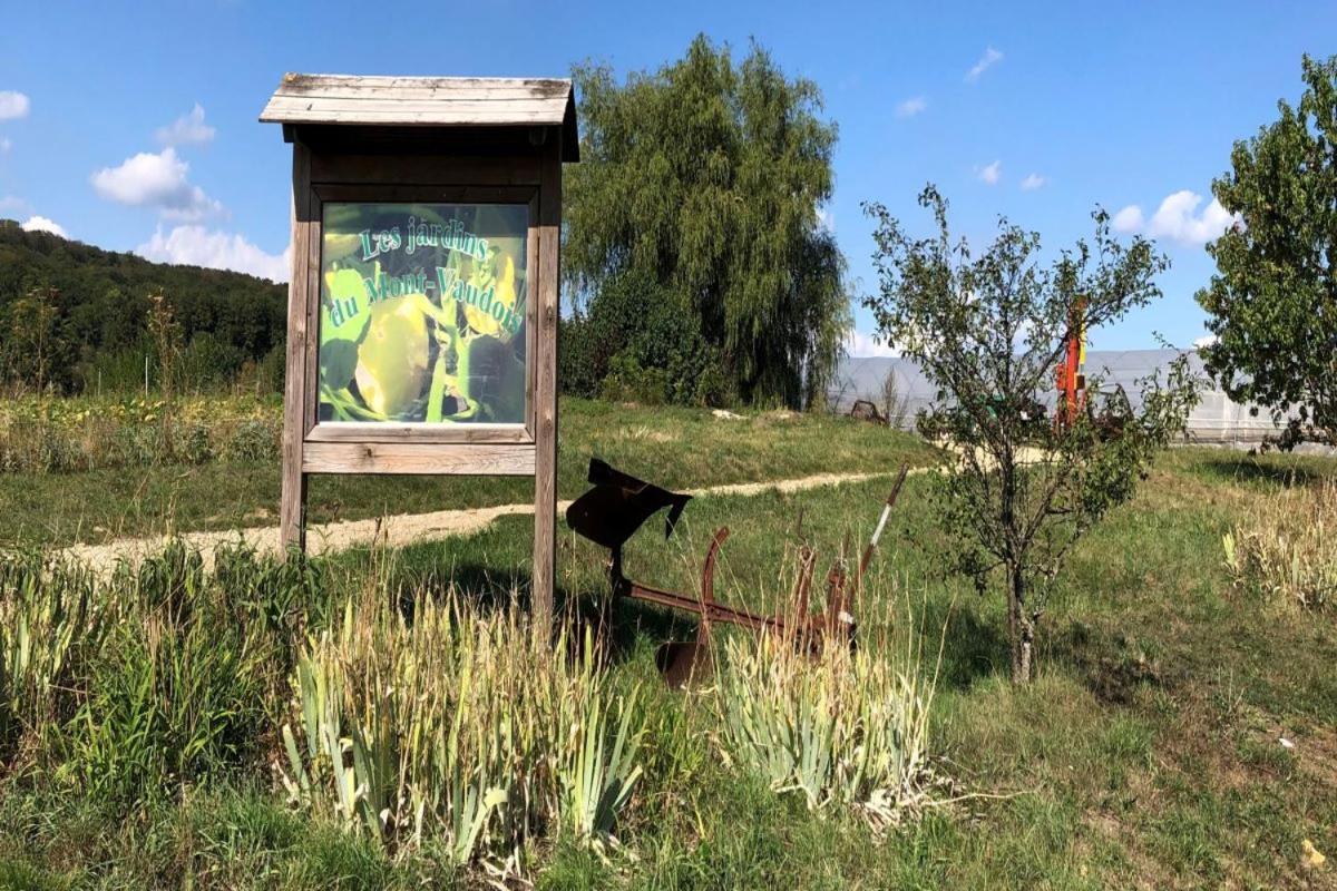 La Campagne A La Dans Pavillon Avec Jardin Clos Et Privatif Hericourt (Haute-Saone)